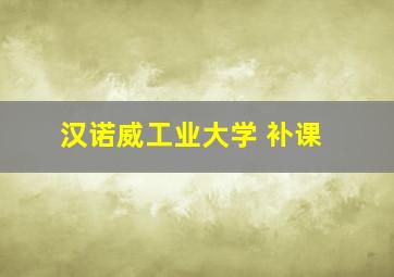 汉诺威工业大学 补课